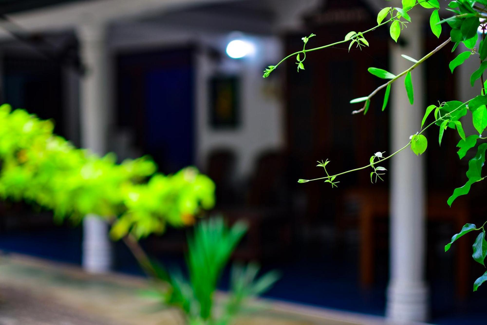 Tourist Holiday Inn Дамбулла Экстерьер фото